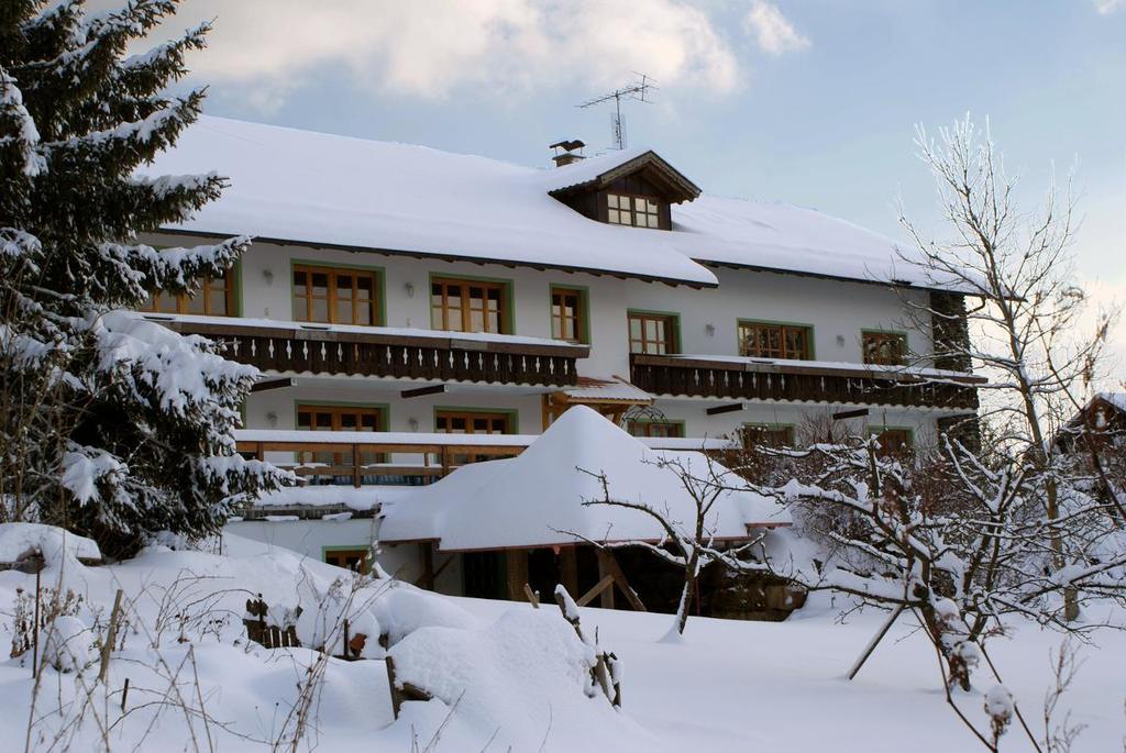 Pension Landhaus Riedelstein Drachselsried Eksteriør billede